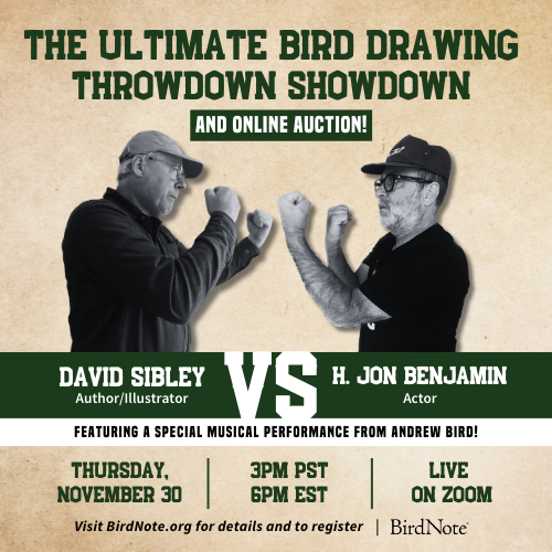 The Ultimate Bird Drawing Throwdown Showdown and Online Auction